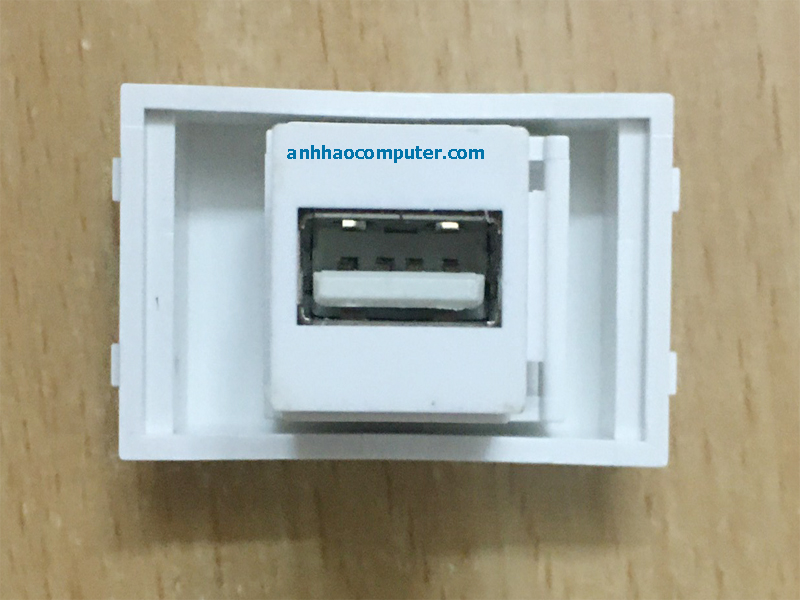 Nhân USB sino Amigo type 128 chuẩn wide